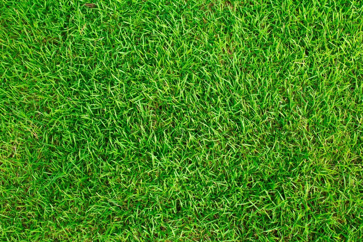 Artificial Grass Online UK